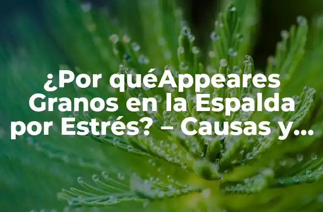 ¿por Quéappeares Granos en la Espalda por Estrés? – Causas y Soluciones