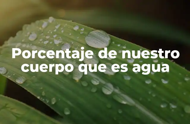 Porcentaje de Nuestro Cuerpo que es Agua