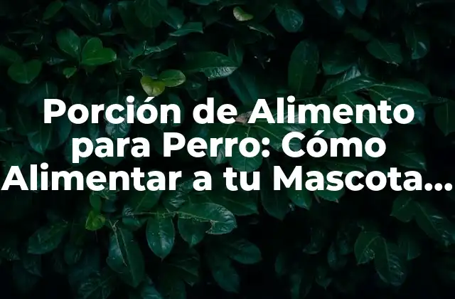 Porción de Alimento para Perro: Cómo Alimentar a Tu Mascota de Manera Saludable