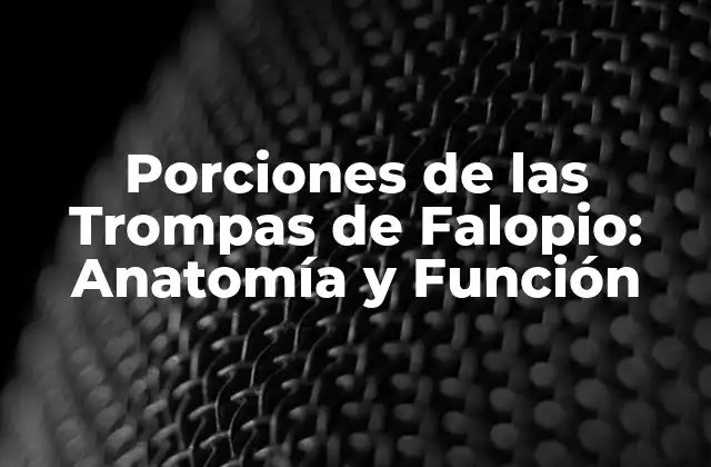 Porciones de las Trompas de Falopio: Anatomía y Función