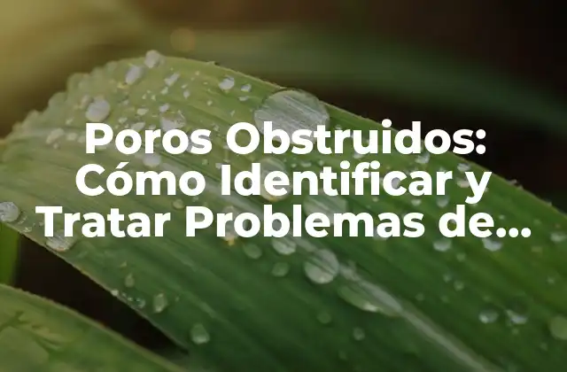 Poros Obstruidos: Cómo Identificar y Tratar Problemas de Piel 2 Causas de los Poros Obstruidos