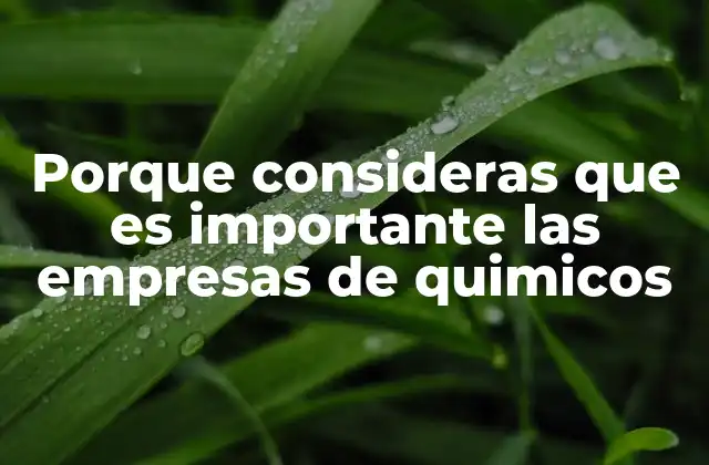 Porque Consideras que es Importante las Empresas de Quimicos