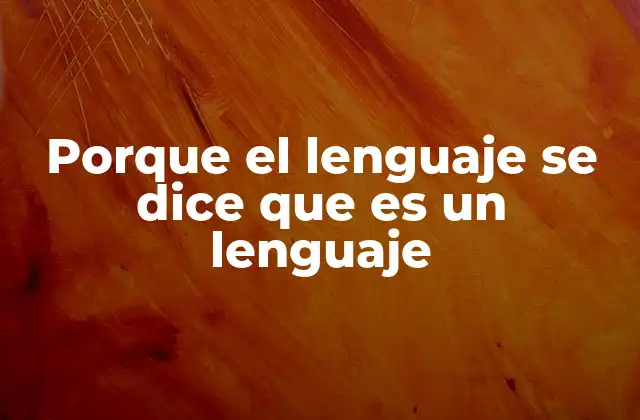 Porque el Lenguaje Se Dice que es un Lenguaje 2 La esencia de la comunicación humana