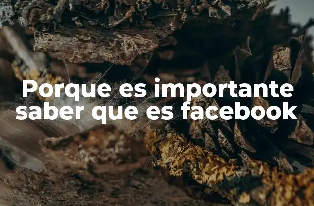 Porque es Importante Saber que es Facebook 2 La relevancia de Facebook en la vida moderna