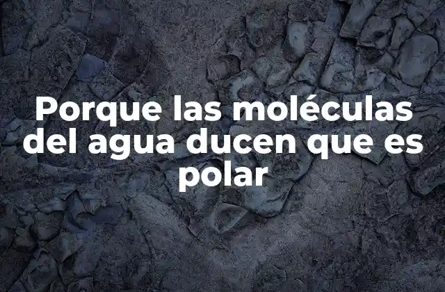 Porque las Moléculas Del Agua Ducen que es Polar
