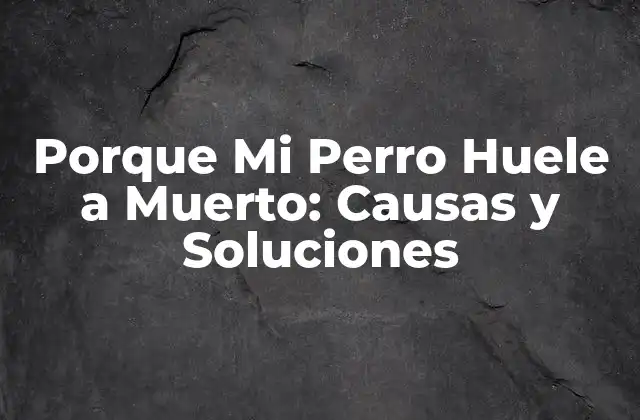 Porque Mi Perro Huele a Muerto: Causas y Soluciones