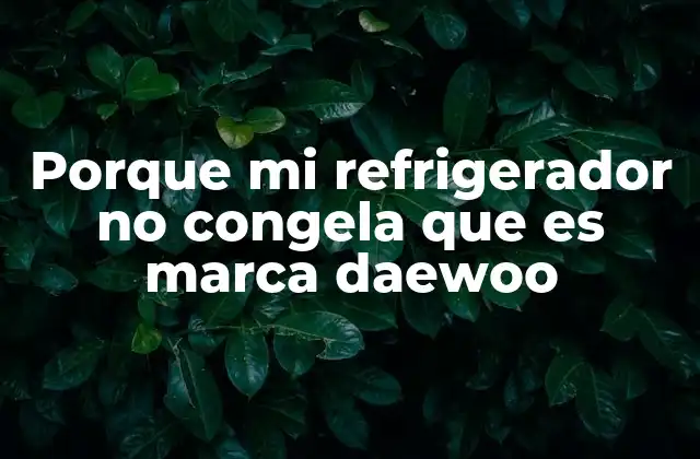 Porque Mi Refrigerador No Congela que es Marca Daewoo