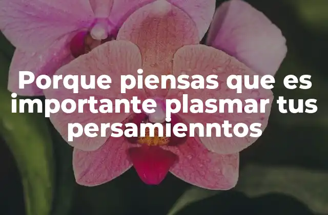 Porque Piensas que es Importante Plasmar Tus Persamienntos