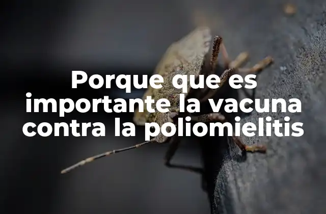 Porque que es Importante la Vacuna contra la Poliomielitis