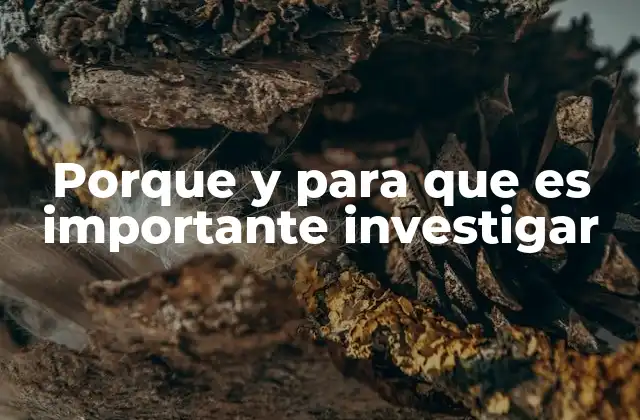Porque y para que es Importante Investigar