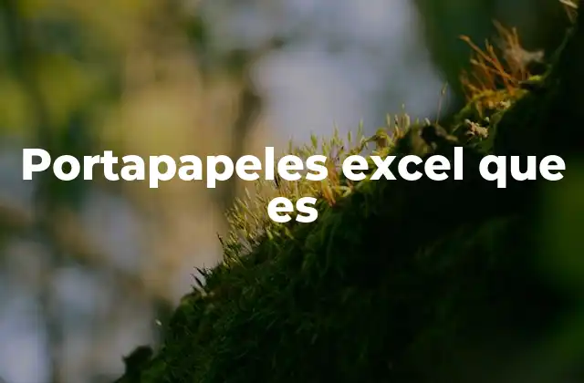 Portapapeles Excel que es