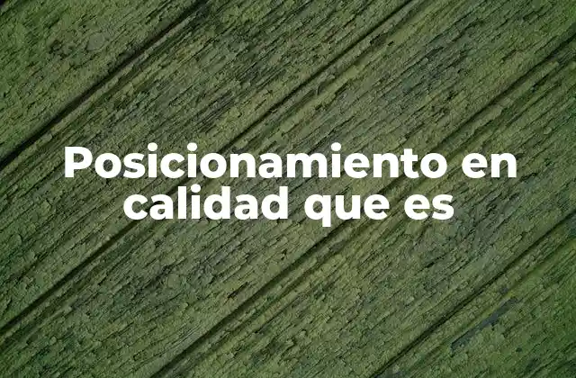 Posicionamiento en Calidad que es
