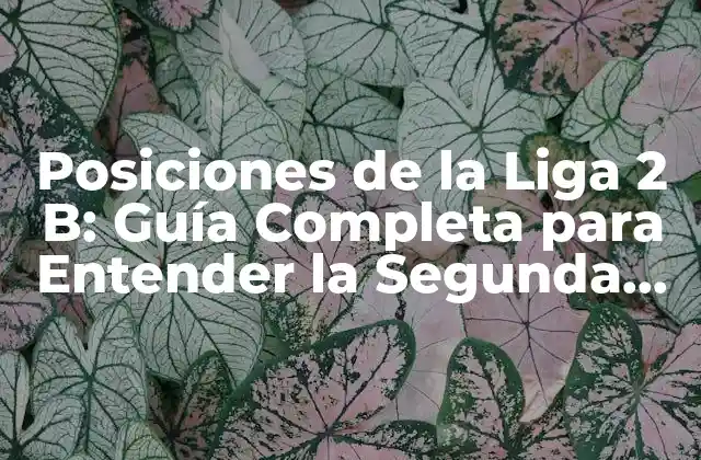 Posiciones de la Liga 2 B: Guía Completa para Entender la Segunda División B Española