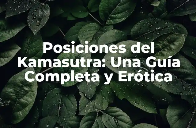 Posiciones Del Kamasutra: una Guía Completa y Erótica