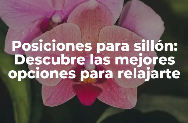 Posiciones para Sillón: Descubre las Mejores Opciones para Relajarte