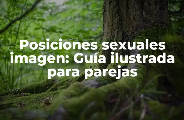 Posiciones Sexuales Imagen: Guía Ilustrada para Parejas