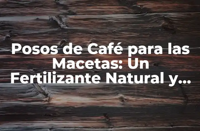 Posos de Café para las Macetas: un Fertilizante Natural y Efectivo