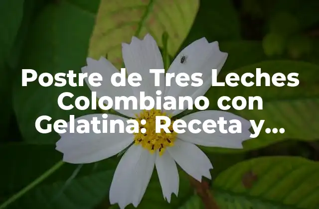 Postre de Tres Leches Colombiano con Gelatina: Receta y Historia