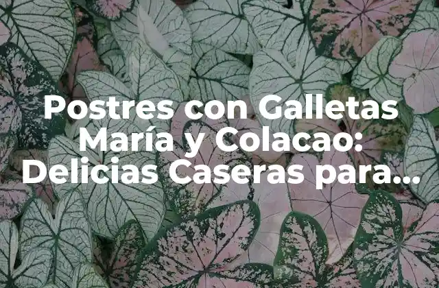 Postres con Galletas María y Colacao: Delicias Caseras para Todos