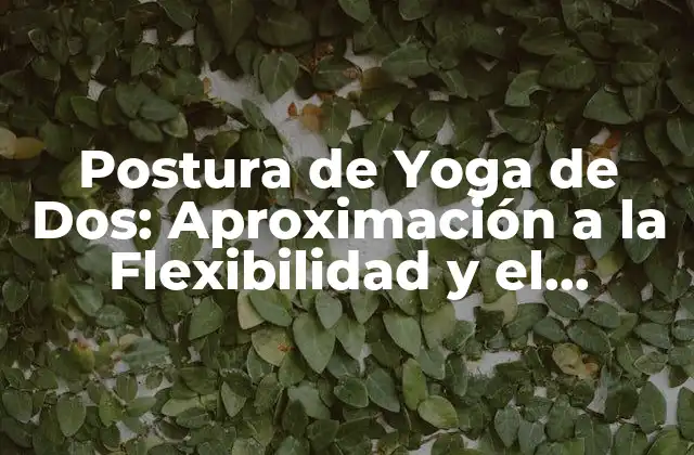 Postura de Yoga de Dos: Aproximación a la Flexibilidad y el Equilibrio
