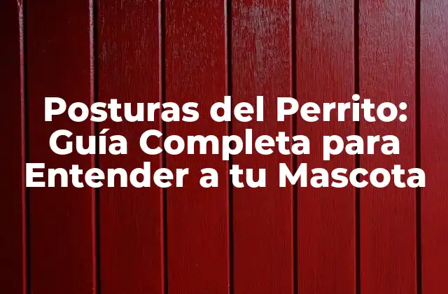Posturas Del Perrito: Guía Completa para Entender a Tu Mascota 2 Posturas de Relajación del Perrito