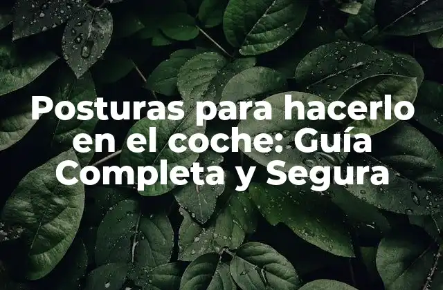Posturas para Hacerlo en el Coche: Guía Completa y Segura