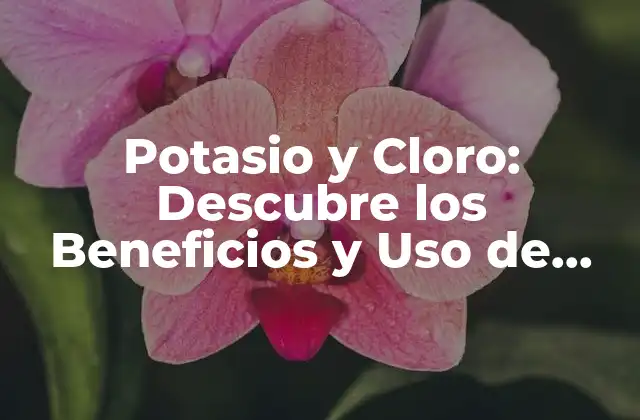 Potasio y Cloro: Descubre los Beneficios y Uso de Estos Elementos Esenciales