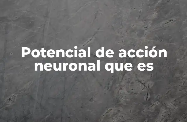 Potencial de Acción Neuronal que es
