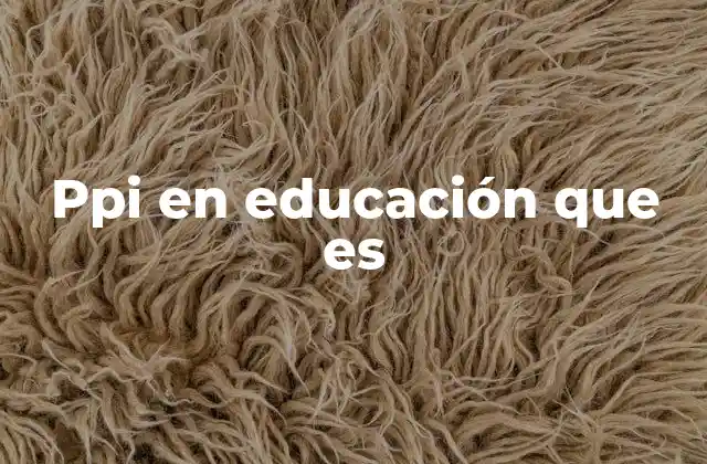 Ppi en Educación que es
