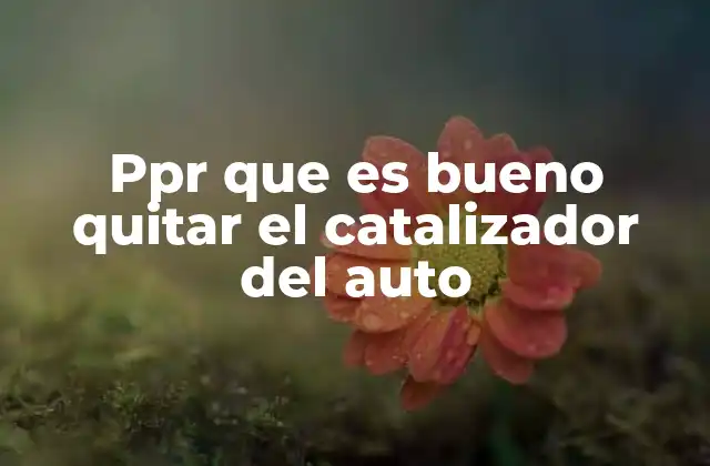 Ppr que es Bueno Quitar el Catalizador Del Auto