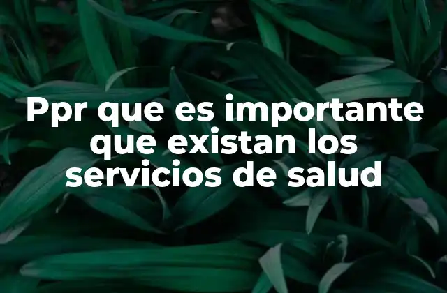 Ppr que es Importante que Existan los Servicios de Salud