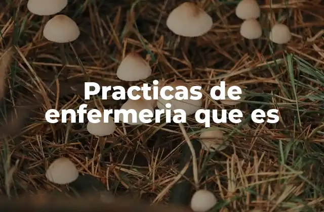 Practicas de Enfermeria que es