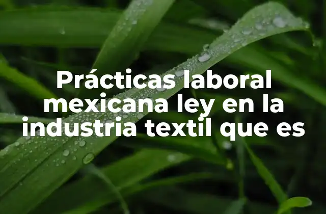 Prácticas Laboral Mexicana Ley en la Industria Textil que es