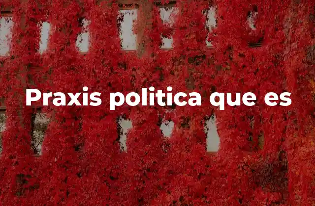 Praxis Politica que es