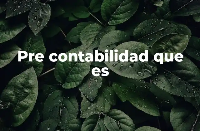 Pre Contabilidad que es 2 La importancia de la preparación contable antes de los cierres