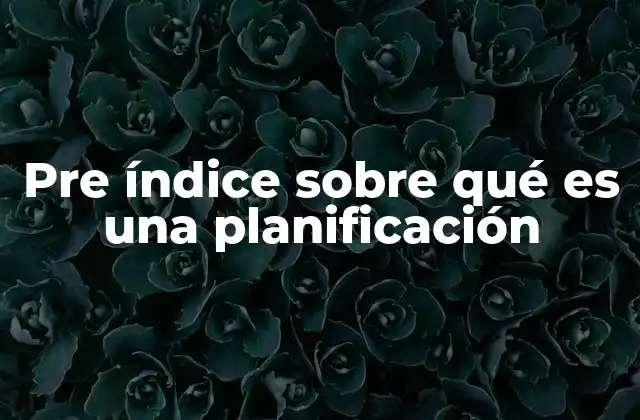 Pre Índice sobre Qué es una Planificación