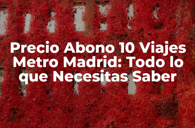 Precio Abono 10 Viajes Metro Madrid: Todo Lo que Necesitas Saber