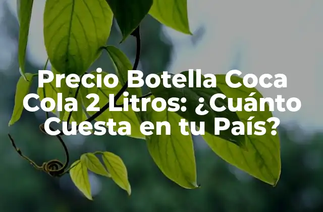 Análisis del Precio de la Botella de Coca Cola de 2 Litros en Diferentes Países