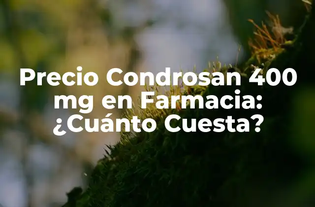 Precio Condrosan 400 Mg en Farmacia: ¿cuánto Cuesta?