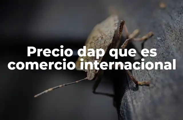Precio Dap que es Comercio Internacional