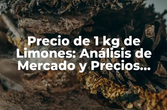 Precio de 1 Kg de Limones: Análisis de Mercado y Precios Actuales 2 Factores que Afectan el Precio de los Limones