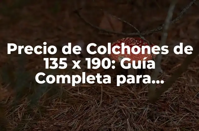 Precio de Colchones de 135 X 190: Guía Completa para Encontrar el Mejor Valor