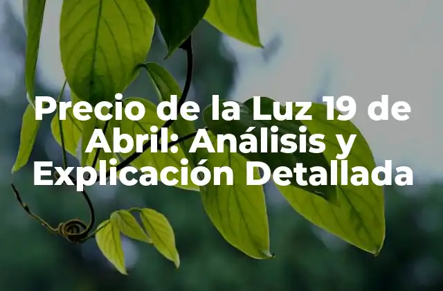 Precio de la Luz 19 de Abril: Análisis y Explicación Detallada