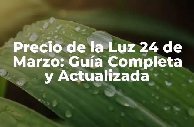 ¿Qué es el Precio de la Luz y Cómo se Calcula?