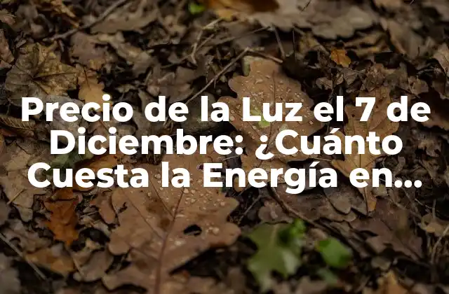 Precio de la Luz el 7 de Diciembre: ¿cuánto Cuesta la Energía en España?