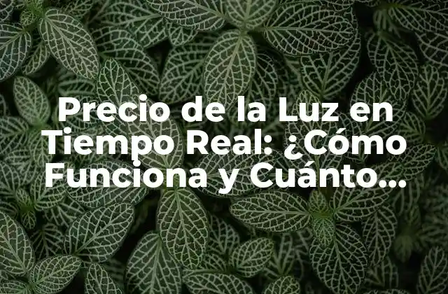 Precio de la Luz en Tiempo Real: ¿cómo Funciona y Cuánto Cuesta?