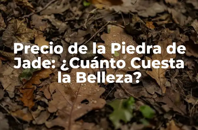Precio de la Piedra de Jade: ¿cuánto Cuesta la Belleza?