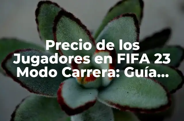 Precio de los Jugadores en Fifa 23 Modo Carrera: Guía Completa