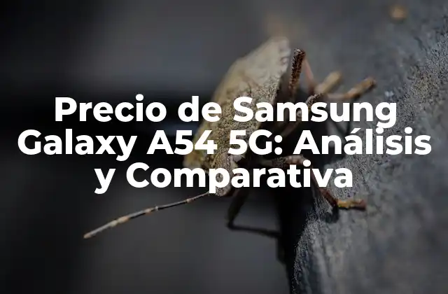 Características del Samsung Galaxy A54 5G