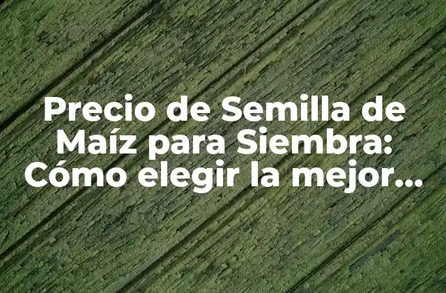 ¿Qué factores influyen en el precio de la semilla de maíz?